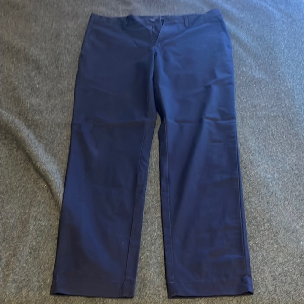 Banana Republic Blue Chinos Relaxed Fit